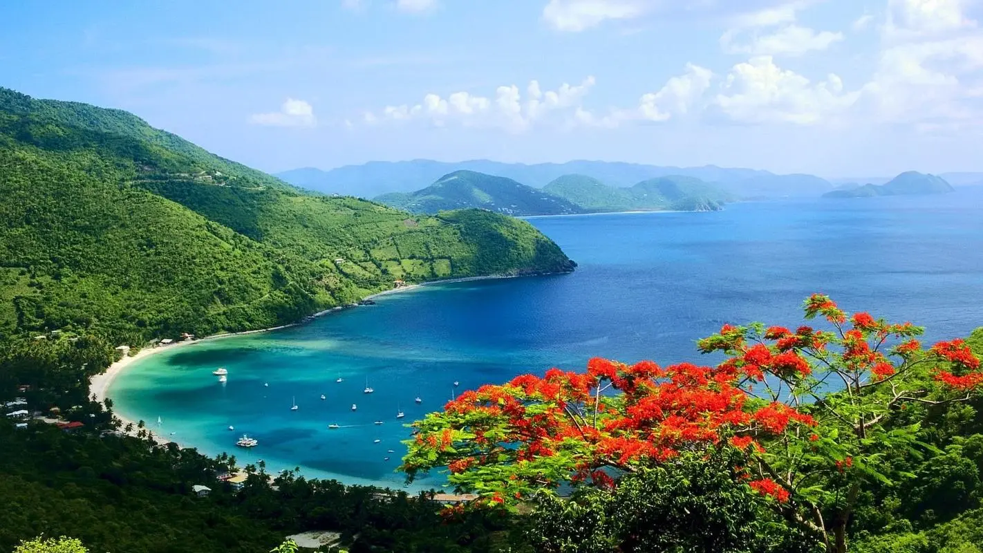 高性能绿色高端